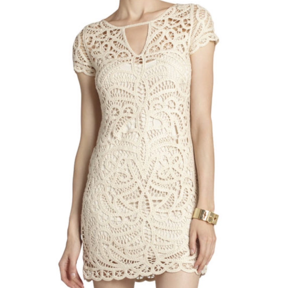 BCBG Lalinda Lace Crochet Dress
